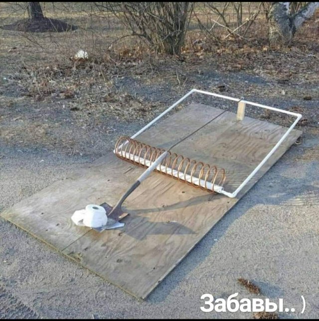 Без паніки: люди рятуються від коронавірусу дотепними мемами - фото 471924