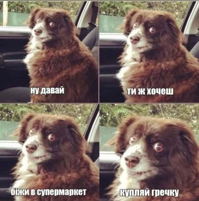 Без паніки: люди рятуються від коронавірусу дотепними мемами - фото 471489