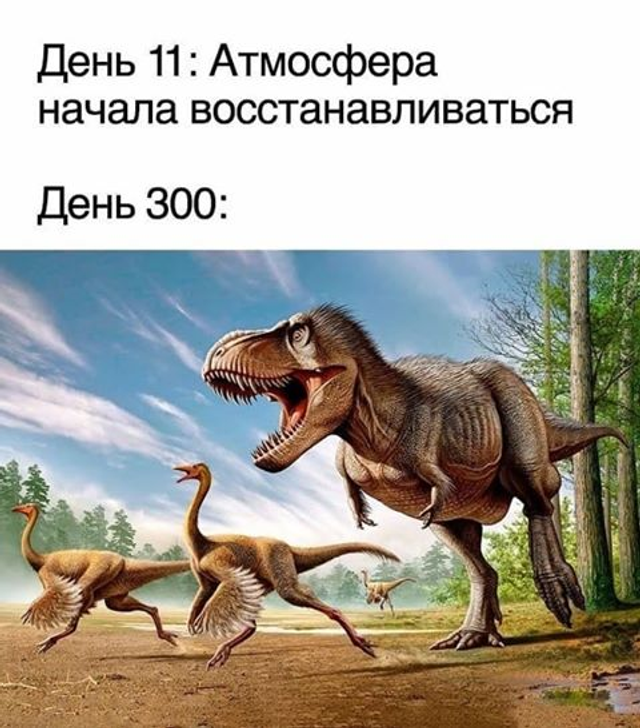 Без паніки: люди рятуються від коронавірусу дотепними мемами - фото 473678