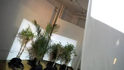 Нью-йоркский художник создал фильм для растений