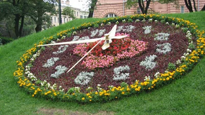 В центре Киева "высаживают" цветочные часы