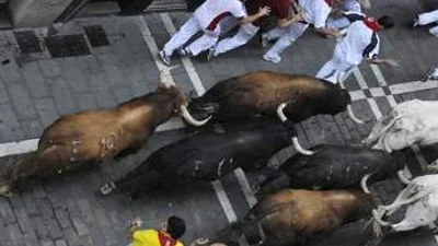 В Памплоне на бычьих бегах запретили вувузелы