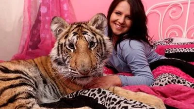 У 17-ти летней девушки дома живет тигр +ФОТО