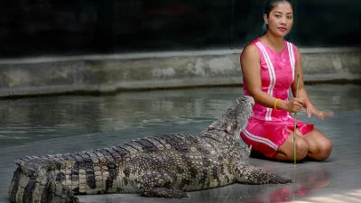 Австралийка переплыла реку с крокодилами