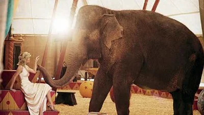 Партнерша Роберта Паттинсона снялась в фотосете со слоном +ФОТО