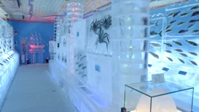 В Японии открыли замороженный аквариум +ВИДЕО