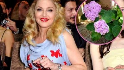 Из-за украинского журналиста Мадонна попала в анти-рейтинг 