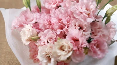 Самые красивые цветы в мире