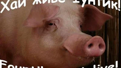 ЄВРО 2012: Кнура Фунтика врятували від фанатів