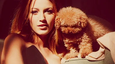 Блейк Лайвли никогда не расстается со своей собачкой