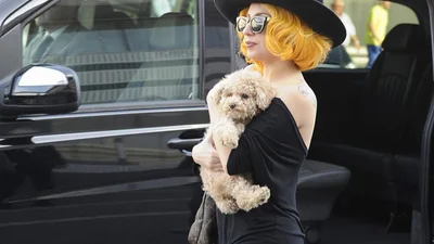 Леди Гага и Фоззи путешествуют вместе