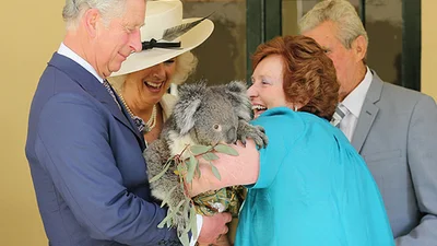 Принц Чарльз подружился с коалой 