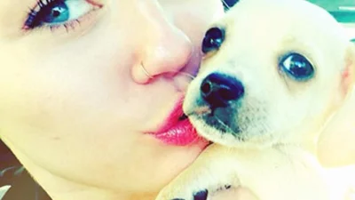 Майли Сайрус похвасталась новым питомцем