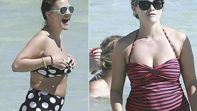 Звезды-толстушки отдыхают на пляже