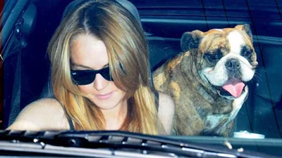 Кроме тусовок Линдсей Лохан любит собак