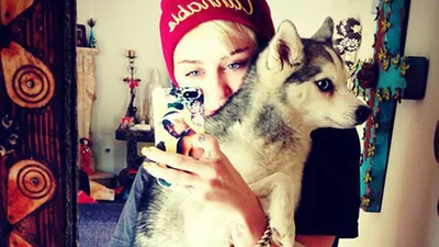 Звезды показывают питомцев в соц. сетях