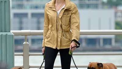 Как звезды выгуливают своих питомцев