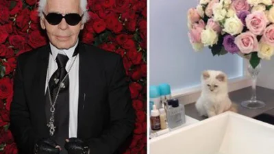 Карл Лагерфельд готовий одружитися з кішкою