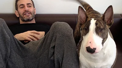 Собака Марка Джейкобса теперь в социальных сетях