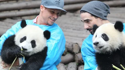 Backstreet Boys развлекались с пандами