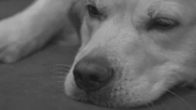 Океан Ельзи – На лінії вогню