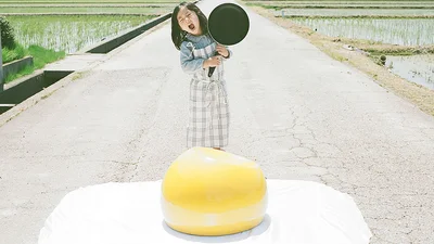 4-летняя японка стала героиней необычной фотосессии