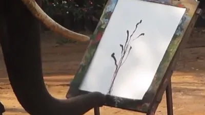 Слон рисует, как художник