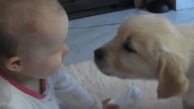 Удивительная встреча маленького мальчика со щенком