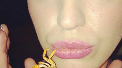 Звезды в Twitter: Кэти Перри укусил краб