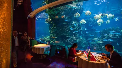 Знаменитый ресторан в аквариуме