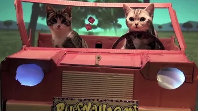 Смешные коты пародируют Pussyсat Dolls