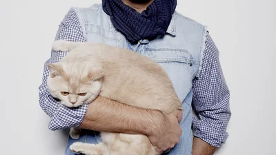 ТОП-10 Вітчизняних зірок-коней