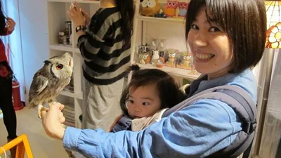 В Японии работает самое милое кафе в мире - совиное