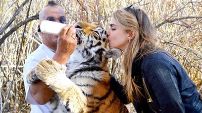 Кара Делевинь целовалась с тигренком