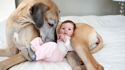 Такая нежная любовь: дети и их собаки