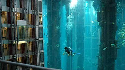 Самый большой в мире аквариум занял половину отеля