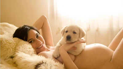 Милая собака одобрила беременность своей хозяйки