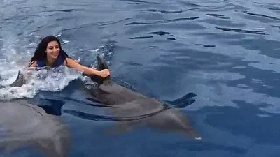 Ким Кардашьян раскритиковали за катание на дельфинах