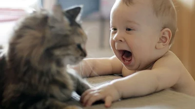 Милый котенок нежно обнимает малыша