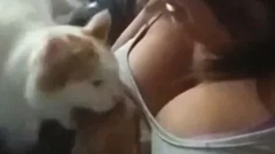 Хитрый кот укусил девушку за большую грудь