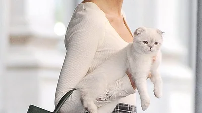 Безупречный уличный стиль Тейлор Свифт