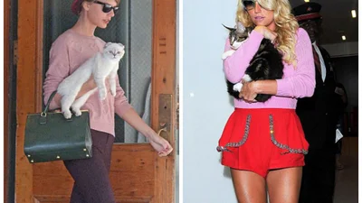 Звезды используют животных в качестве аксессуара