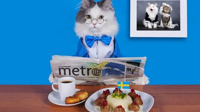 Якби тварини стали людьми