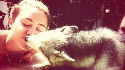 Знаменитости целуются со своими собаками