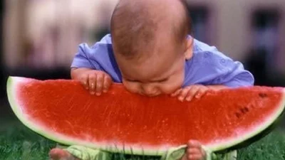 Улетный малыш смешно кушает большой арбуз