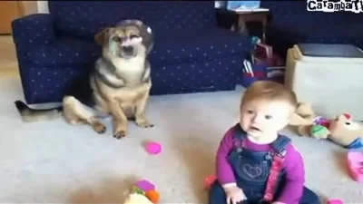 Умная собака придумала, как насмешить малыша