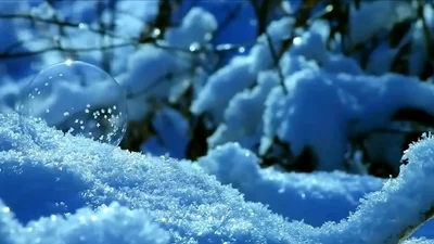 Невероятная красота: мыльный пузырь замерзает на снегу