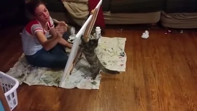Смешной кот решил стать художником