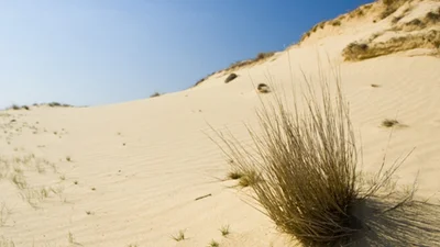 Моя країна: в Украине есть настоящая пустыня