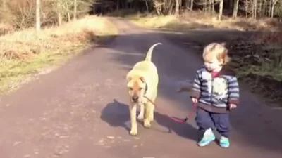 Смешной мальчик выгуливает собаку или наоборот